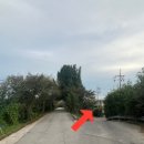 삼복마트 이미지