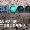 신사1-003 이미지
