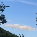 산호동282 이미지