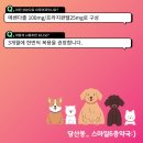스마일6층약국 이미지