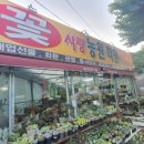 다육사랑화원 이미지