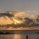 일출추어탕 이미지