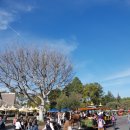 V-랜드 민박 이미지