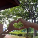 금요영화마당 | 사진기록 : 7월 7일~13일 | 백숙중독 | 스파게티중독 | 새식구 알풀 안시