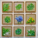 나비,날아오르다 이미지