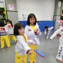 양진 히어로즈 태권도장 이미지