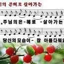 주님의 은혜로 살아가는 (2024년 1월28일, 주보4) 이미지