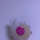 태열농장 이미지