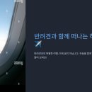 함께 하늘을 날다 이미지