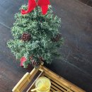 넷 킹 | 나트랑 아미아나 리조트 냐짱 • 2 베드룸 패밀리룸 내돈내산 후기 (feat. 여자 넷 우정여행)