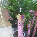 제이투 빌리어즈 이미지