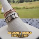 대전 웨딩밴드 투어 비교하기 좋은 곳 알리앙스 코리아