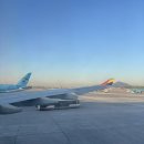 모치울 | 워홀 한달차 일상 무료 공개~~