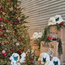 완산-156 | 전주 모이라 대형카페 크리스마스트리 포토존만 모아보기