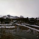 1월25일(日) 제주시 용두암~서귀포시 중문해수욕장 도보(사진2) 이미지