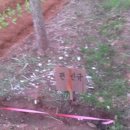 풍동농장 이미지