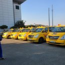 세종체육도장 이미지