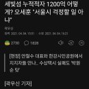 세빛섬 누적적자 1200억, 오세훈 "서울시가 걱정할 일 아냐" 이미지