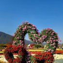 낙동강변25 이미지