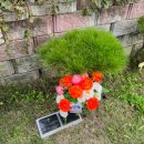 솔까치펜션 이미지