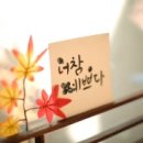 소윤채스튜디오