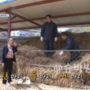 영수농장 이미지