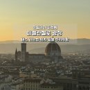 홈플러스버스정류장 뒤 광장 | 미켈란젤로 광장 버스 가는법 위치 일몰 주의사항 총정리