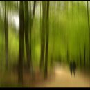 초록바람 이미지