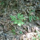 행복구대 이미지