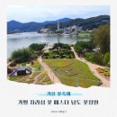 남도삼백리길(3코스) | 가평 자라섬 꽃 페스타 남도 꽃정원 실시간 리뷰 가을꽃축제 후기
