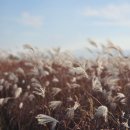 오산리 내 | 오산리 선사유적박물관 방문 어른도 동심으로 돌아가는 실감영상관 체험