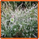 버들농원 이미지