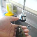 새론민박 이미지