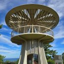 행곡2리(처진소나무옆) | 울진 해파랑실25코스(윤광수가옥-배잠사지당간지주-성류굴-주천대-처진소나무-수산리 굴참나무-망양정)