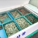 찜의나라 이미지