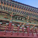 평해읍사무소 | 경북 울진여행 관동팔경 월송정 겨울 나들이