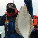 마검포항 이미지