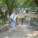 안동방역공사