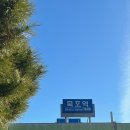 스테이파랑 이미지