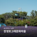 초록마을울산 | 울산 장생포 고래문화마을 라벤더 볼거리 모노레일 예약 주차