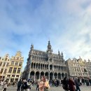 층양축산 | 브뤼셀 시청사 &amp; 왕의 집 : 그랑 플라스에서 마주하는 권력의 두 얼굴