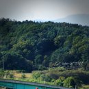 석불주유소 이미지