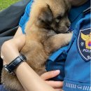 개발바닥 이미지