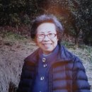 영농조합법인한라산성암영귤농원 이미지