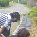 강원장례협동조합 네이버블로그