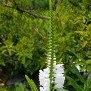 돌담마루 이미지