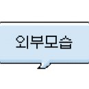 이태형의메구미