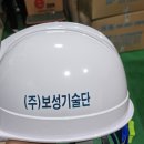 (주)보성기술단