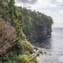 서귀포시축산업협동조합플라자 이미지