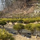 선택목장 이미지